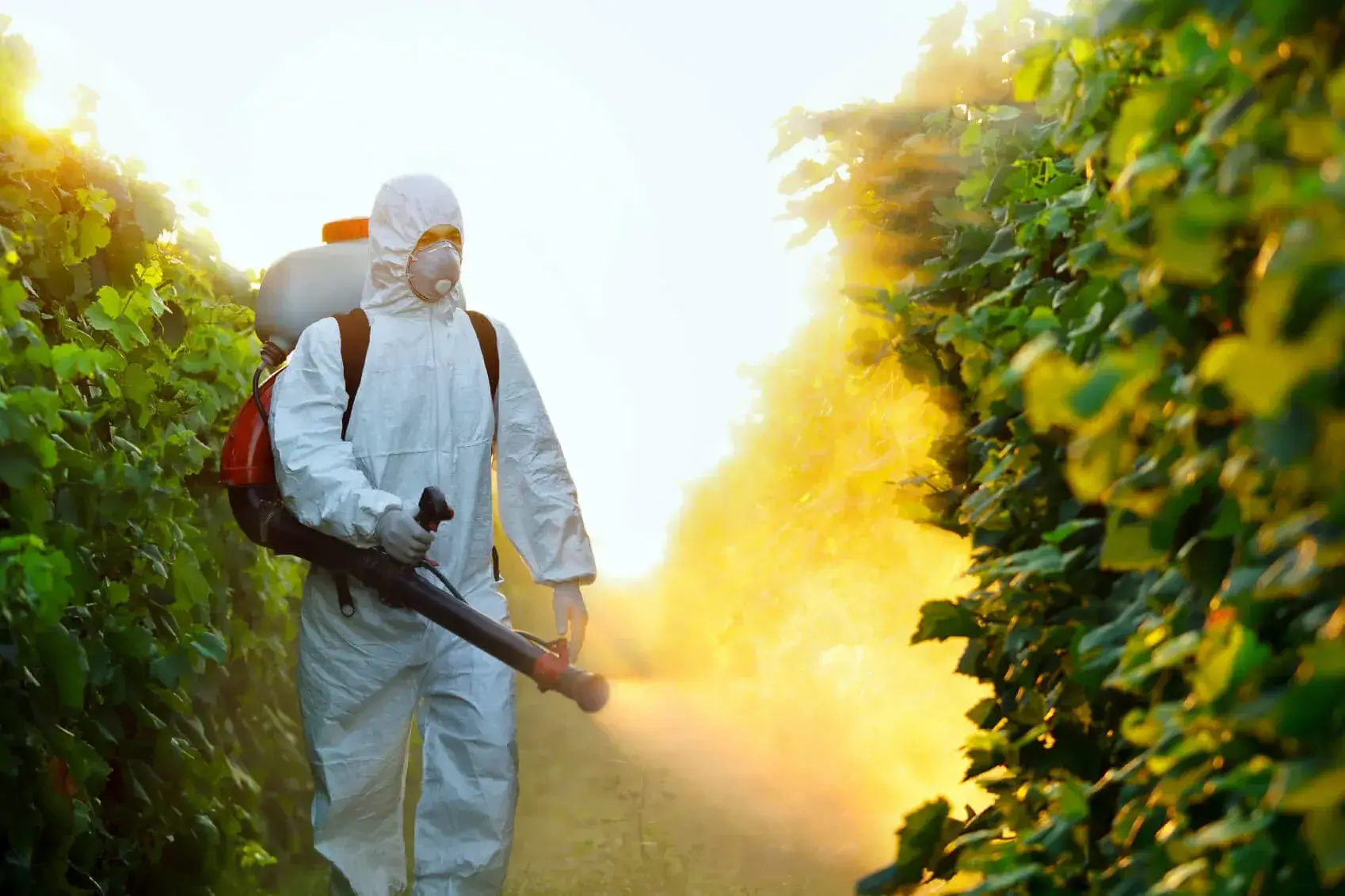 Read more about the article Top Pesticides for Effective Plant Protection: A Guide for Gardeners”